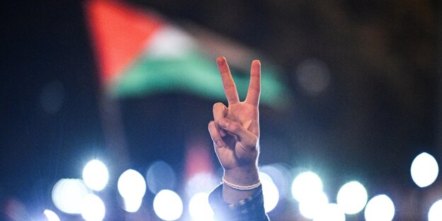Eine Hand mit "Victory"-Zeichen vor palästinensischer Flagge