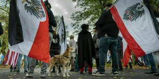 Demonstranten halten Reichsflaggen