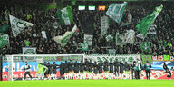 Die Fußballer des VfL Wolfsburg feiern vor der Fan-Tribüne