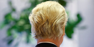 Das Bild zeigt Geert Wilders von hinten.