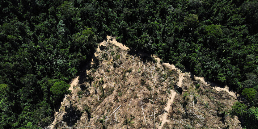 Ein Blick auf ein abgeholztes Gebiet mitten im Amazonaswald