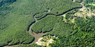 Fluss im Amazonasgebiet von oben