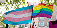 Eine LGBTIQ-Fahne und eine Transgenderfahne