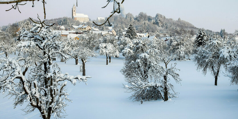 Verschneite Bäume, im Hintergrund eine Kirche auf einem Hügel