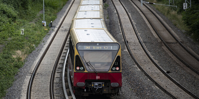 S-Bahn auf Gleisen