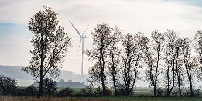 Blick auf einen Windpark