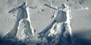 Zwei Schneengel im Tiefschnee