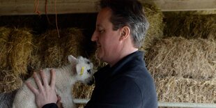 David Cameron mit einem Lamm