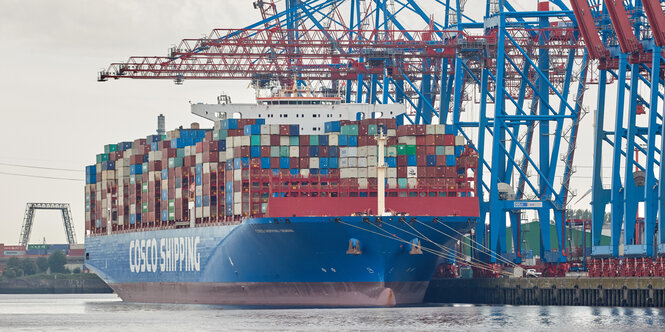 Containerfrachter unter Containerbrücken. Auf der Bordwand steht "COSCO".