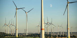 Windräder in einem Windpark