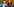 Recep Tayyip Erdogan steht neben einen Imam auf einer Bühne