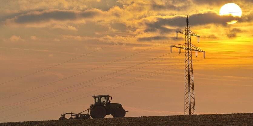 Traktor im Gegenlicht