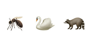 Eine Mücke, ein Schwan und ein Waschbär als Emojis.