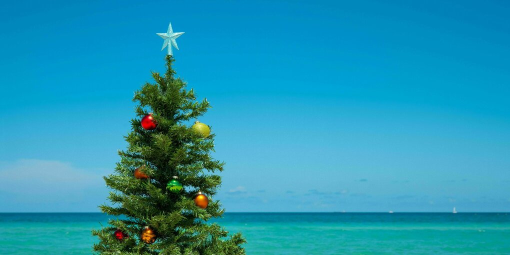 Ein Weihnachtsbaum steht im Sommer am Strand mit türkisblauen Meer im Hintergrund