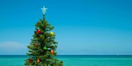 Ein Weihnachtsbaum steht im Sommer am Strand mit türkisblauen Meer im Hintergrund