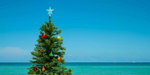 Ein Weihnachtsbaum steht im Sommer am Strand mit türkisblauen Meer im Hintergrund