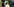 Eine junge blonde Frau versteckt sich hinter einem Hund
