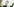 Frauke Gerlach führt ein Gespräch und lächelt leicht