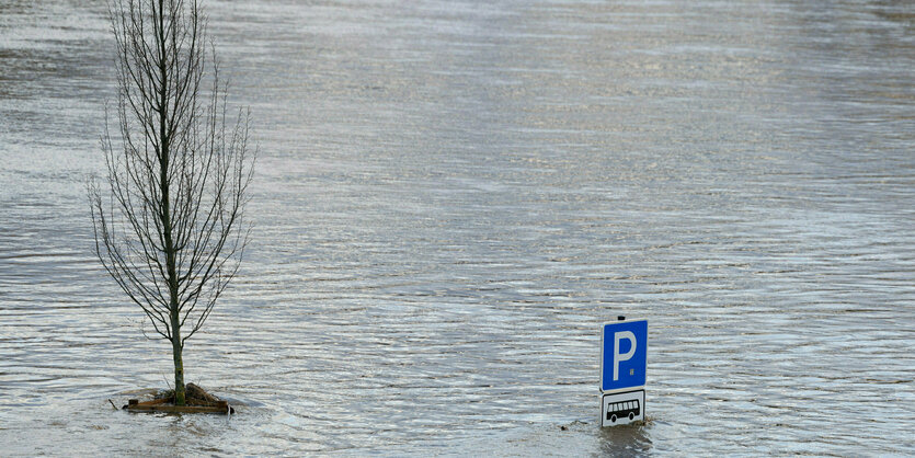 Ein Schild "Parkplatz für Busse" schaut aus dem Hochwasser in Lauenförde