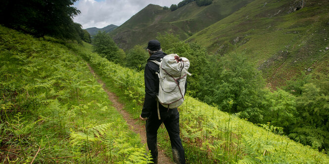 Ein Mann mit Rucksack läuft durchs Grün.