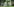Zwei animierte Figuren sitzen an einem Tisch nebeneinander und schauen sich an. Links zu sehen, ist ein Jugendlicher, neben ihm ein Wesen halb Vogel, halb Mensch