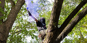 Eine vermummte Person zündet lilafarbenen Rauch auf einem Baum