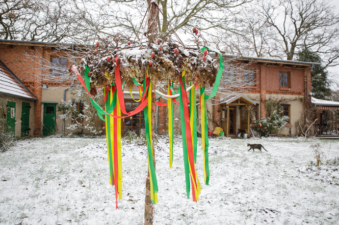 Ein Maibaum im Schnee vor dem Rabenhof in Mecklenburg-Vorpommern.