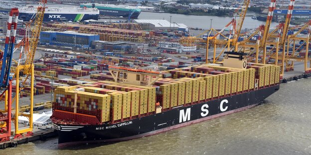 MSC-Containerschiff im Hamburger Hafen