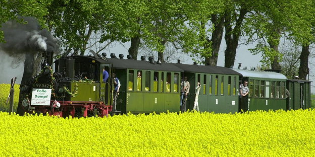 Ein historischer Zug fährt hiner einem blühendem Rapsfeld durch die Prignitz