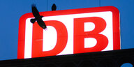 Um das leuchtende Logo der Deutschen Bahn fliegen zwei Krähen.