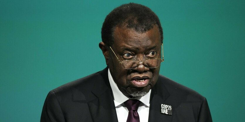 Namibias Präsident Hage Geingob vor grüner Wand.