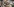 Teilnehmer einer Demonstration gegen Rechts mit Schildern: Nazis raus