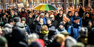 Demonstranten protestieren gegen die AfD