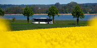 Ein Bus der Verkehrsgeselschaft Vorpommern-Rügen fährt auf der Insel Rügen