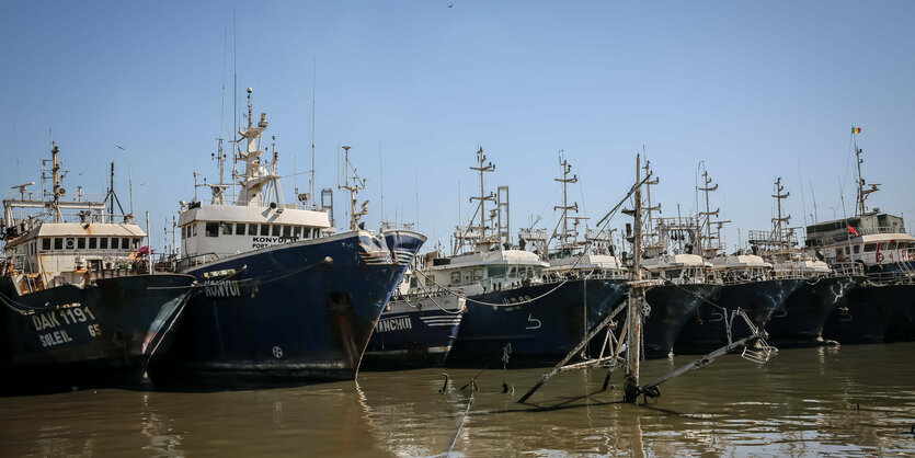 fischerboote im Hafen