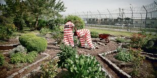 Zwei Personen in gestreiften Anzügen gärtnern in einem Garten.