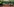 Werder Bremens Spielerinnen haben einen Kreis gebildet und freuen sich.