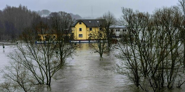 Gebäude an einem überschwemmten Campingplatz, komplett vom Hochwasser umschlossen, nur die Bäume ragen aus dem Wasser
