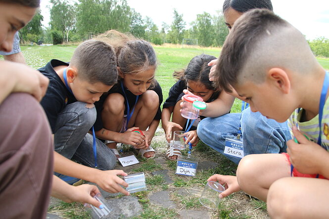 Kinder knien auf einer Wiese und untersuchen den Boden.