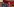 Die Band Pankow - vier Männern in einer Reihe - stehen für ein Foto nach der Pressekonferenz zur endgültigen Abschiedstournee.