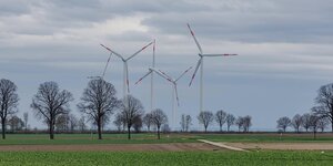 Unbelaubte Bäume und Windräder