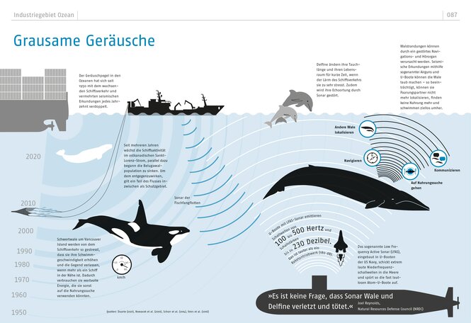 Eine Infografik zeigt die Lärmbelästigung auf die Wale in den verschiedenen Meeresschichten.