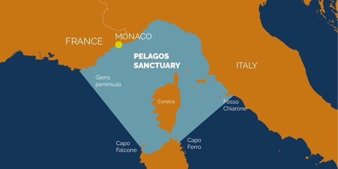 Das Meeresschutzgebiet "Pelagos Sanctuary" ist auf einer Karte zwischen Italien und Frankreich eingezeichnet.