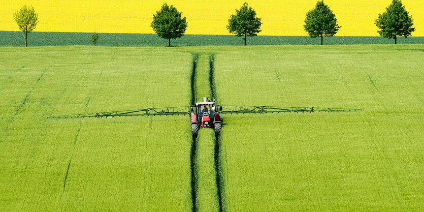 Ein Landwirt fährt mit einem Traktor über ein Gerstenfeld und versprüht Pflanzenschutzmittel, im Hintergrund leuchtet ein Rapsfeld