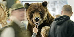 jagdmesse-baer-trophaee