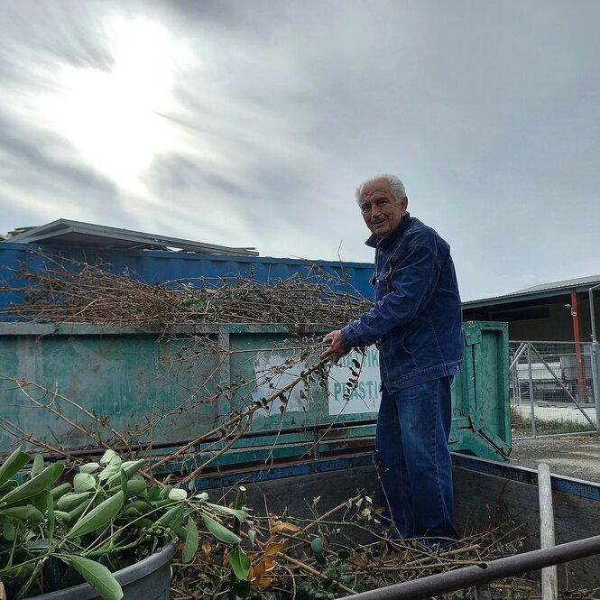 Ein älterer Mann mit Gartenabfällen auf der Ladefläche eines LKW