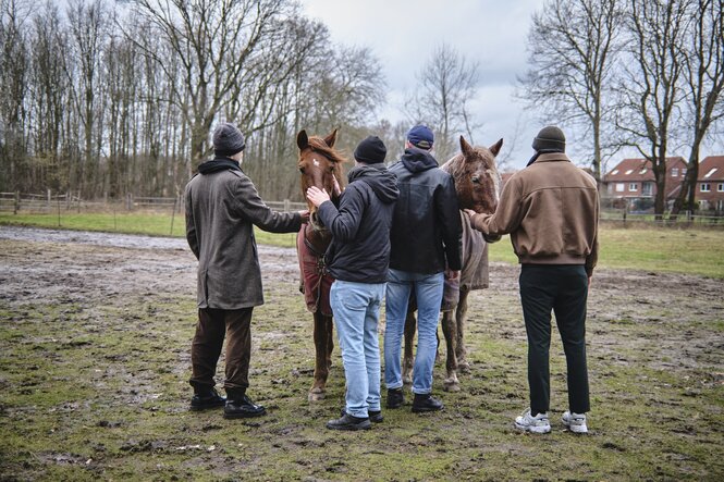 4 junge Männer stehen um 2 Pferde herum