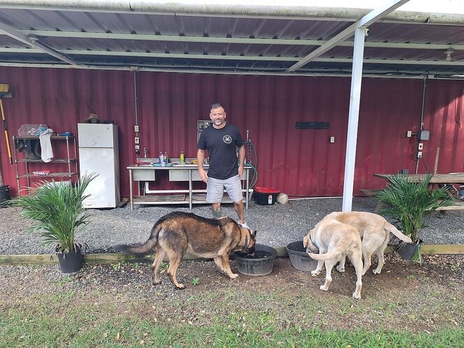 Portrait von Damien Chiodo mit zwei Hunden