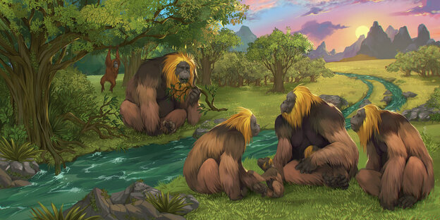 Illustration einer Gruppe großer Affen.