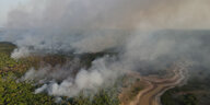Rauch steigt von einem Waldbrand im Amazonas-Regenwald in der Nähe eines ausgetrockneten Flusses in Iranduba am 25. September 2023 auf.